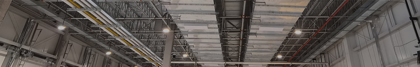 Exhibition Invitation